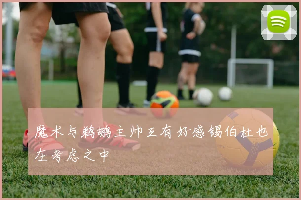 魔术与鹈鹕主帅互有好感锡伯杜也在考虑之中